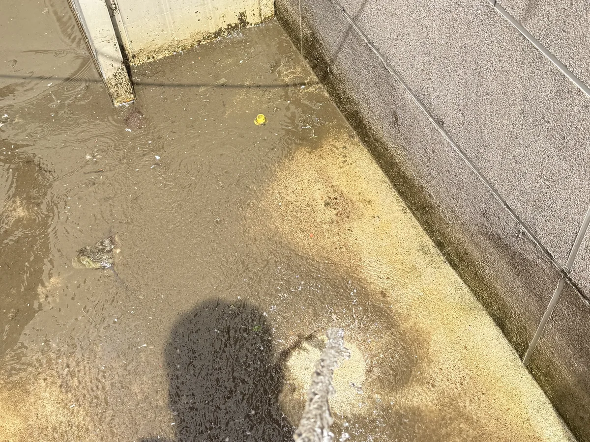 청양군 정산면 배관 관리실·기계실 위생청소 사례 - 행진크린